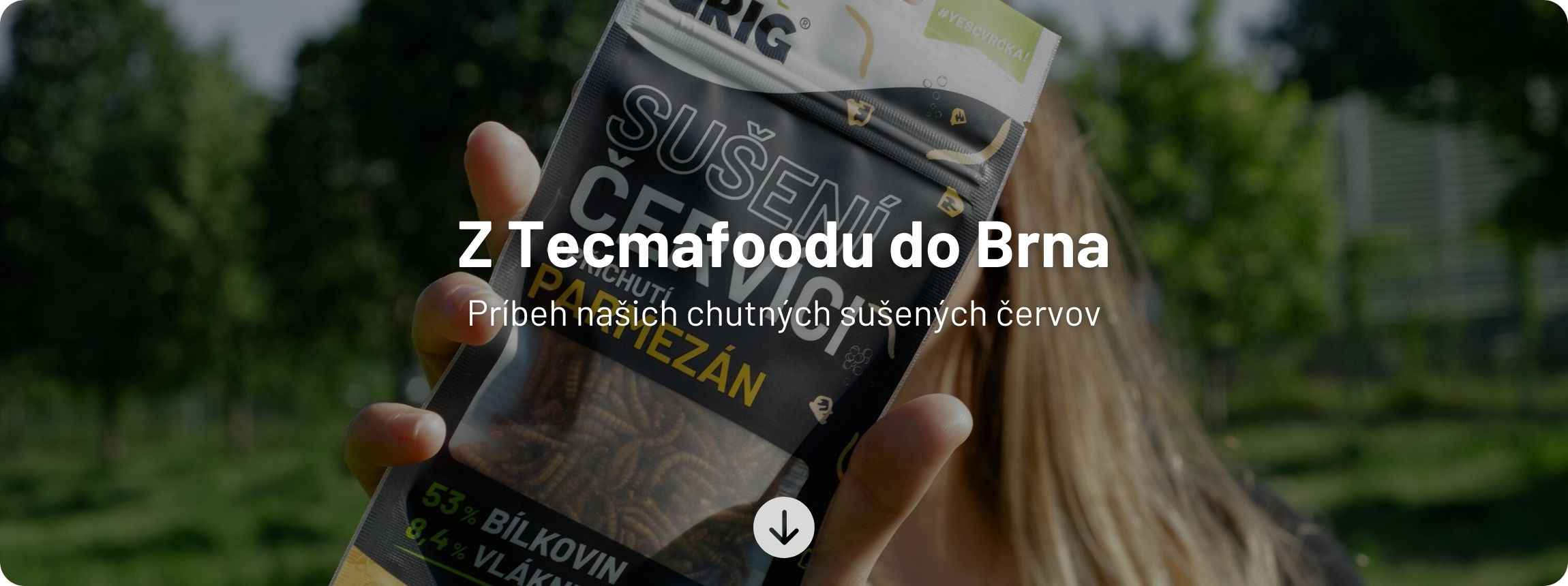 Blog příspěvek - Hlavní obrázek (15)